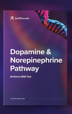 selfdecode dopamine norepinephrine report
