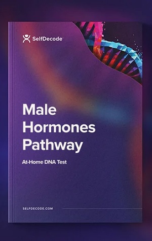 selfdecode male hormones report