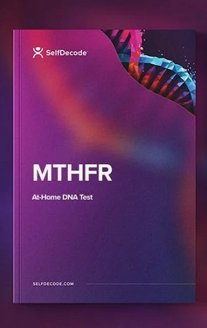 selfdecode mthfr gene deep dive report