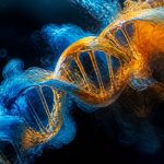 genetics of social anxiety