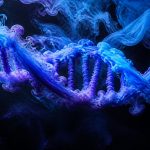 why you cant smell your own body odor