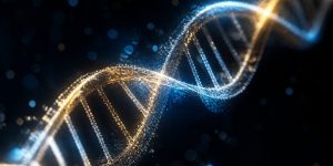 genetics of male pattern baldness