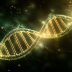 tongue rolling genetics