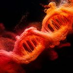 hatred of sound misophonia genetics