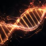 sprinter or marathoner muscle type genetics