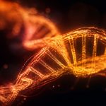 genetics of risk tolerance