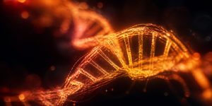 genetics of risk tolerance