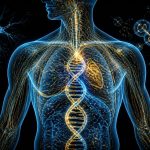 vo2 max and natural endurance genetics