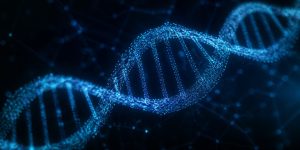 genetics of novelty seeking