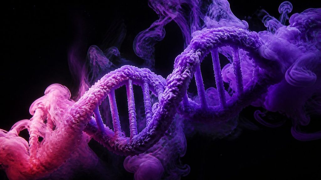 sugar metabolism genetics