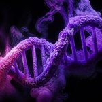 sugar metabolism genetics