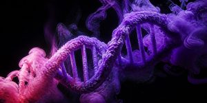 sugar metabolism genetics