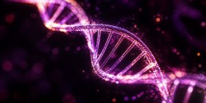lactose tolerance genetics